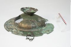 Foto von Bronzebreitrandfußschale (NHMW-PRAE-024138)